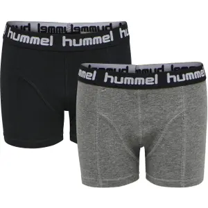 Lote de 2 calzoncillos para niño Hummel hmlboxers image-0