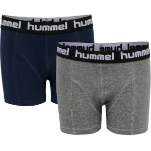 Lote de 2 calzoncillos para niño Hummel hmlboxers image-0
