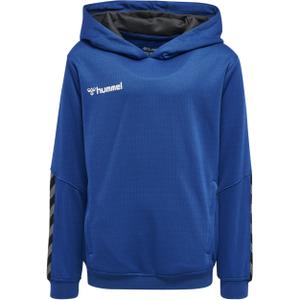 204931-7045-child-hoodie-hummel-hmlauthentic-poly-dark-blue
