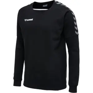 Sweatshirt Hummel hmlAUTHENTIC Training image-1