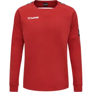 Sweatshirt Hummel hmlAUTHENTIC Training image-0