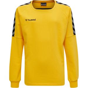 205374-5001-sweatshirt-child-hummel-hmlauthentic-training-yellow