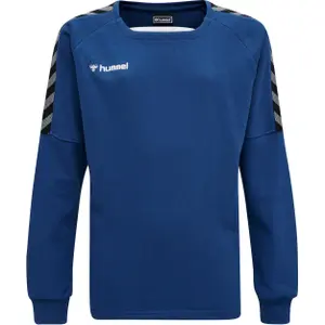 Camisola para criança Hummel hmlAUTHENTIC Training image-0