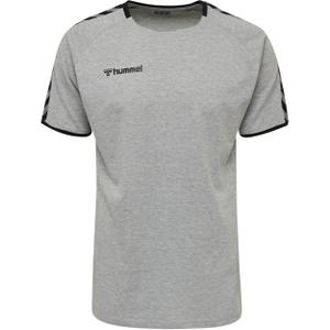 205379-2006-camisola-hummel-training-hmlauthentic-cinza