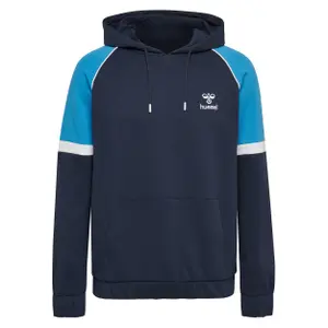 Hooded sweatshirt Hummel hmllayton image-0