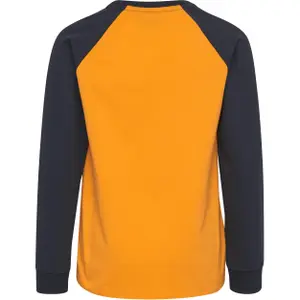 Camiseta de manga larga para niño Hummel hmlhahn image-2