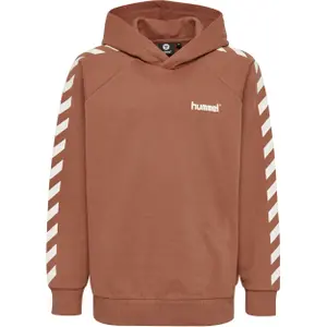 Sudadera con capucha para niños Hummel hmlsolo image-0