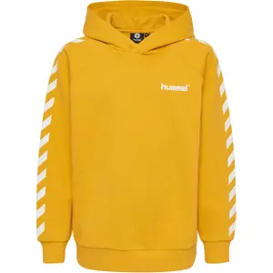 Sudadera con capucha para niños Hummel hmlsolo image-0