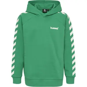 Sudadera con capucha para niños Hummel hmlsolo image-0