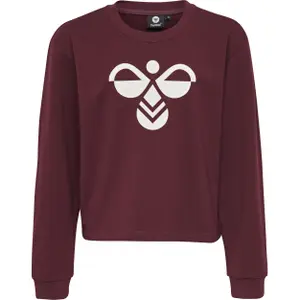 Sudadera niño Hummel hmlcinco image-0