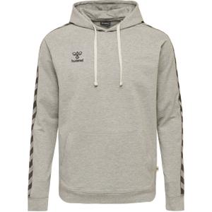 206921-2006-hoodie-hummel-lmove-classic-grau
