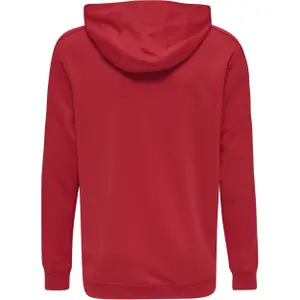 Sudadera con capucha infantil Hummel hmlPROMO Poly image-1