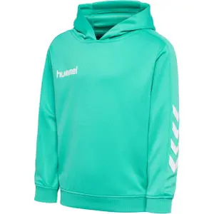 Sudadera con capucha infantil Hummel hmlPROMO Poly image-1