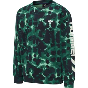 Sweatshirt child Hummel hmldrake image-1