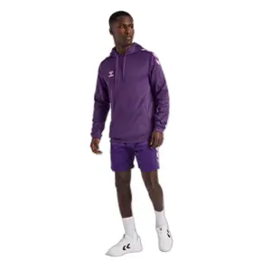 Polyester Hoodie Hummel Core XK image-1