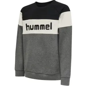 Sweatshirt child Hummel Claes image-0