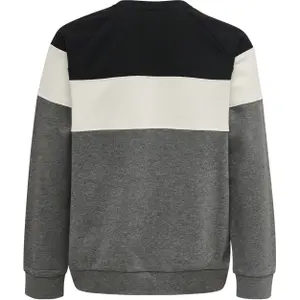 Sweatshirt child Hummel Claes image-1