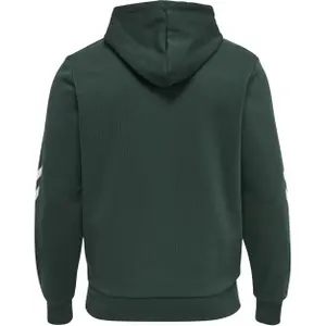 Sudadera con capucha Hummel Legacy Graham image-0