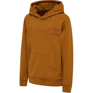 Sudadera con capucha infantil Hummel Vier image-1