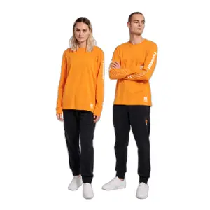 Camiseta de manga larga Hummel Legacy Birk image-5