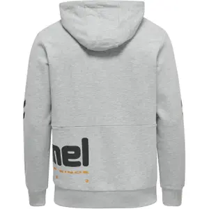 Hooded sweatshirt Hummel Legacy Manfred image-1