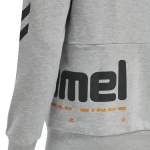 Hooded sweatshirt Hummel Legacy Manfred image-5