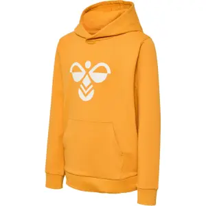 Children's hoodie Hummel Cuatro image-0