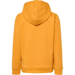 Children's hoodie Hummel Cuatro image-1