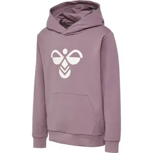 Sudadera con capucha para niños Hummel hmlCuatro image-2