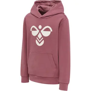 Sudadera con capucha para niños Hummel Cuatro image-0