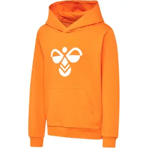 Sudadera con capucha infantil Hummel Cuatro image-1