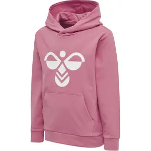 Sudadera con capucha infantil Hummel Cuatro image-0