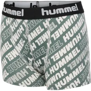Calzoncillos para niños Hummel Nolan (x2) image-1