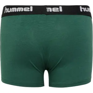 Calzoncillos para niños Hummel Nolan (x2) image-3