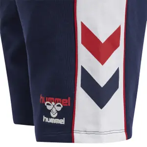 Pantalón corto Hummel IC Durban image-5