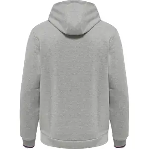 Sweatshirt à capuche Hummel IC Dayton image-1