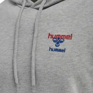 Sweatshirt à capuche Hummel IC Dayton image-5