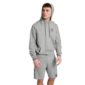 Sweatshirt à capuche Hummel IC Dayton image-2