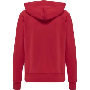 Sudadera con capucha Hummel Noni 2.0 image-3