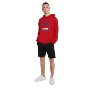 Sudadera con capucha Hummel Isam 2.0 image-2