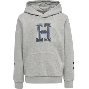 Sudadera con capucha infantil Hummel Geography image-0