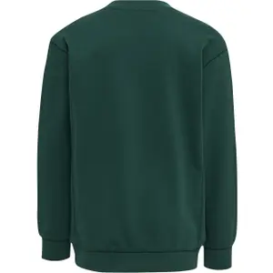 Sweatshirt child Hummel Ditmer image-1