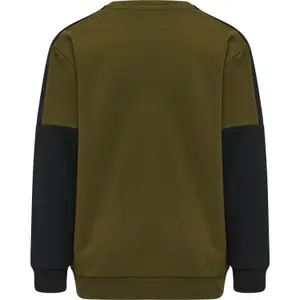 Sudadera con capucha infantil Hummel Edward image-0