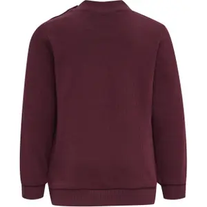 Baby girl jogging set and sweatshirt Hummel Santo image-2