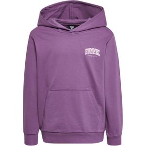 215861-4083-camisola-com-capuz-para-crianca-hummel-fast-purpura