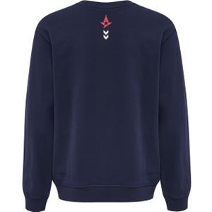 Sudadera infantil Hummel Astralis image-2