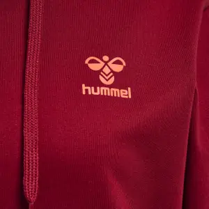 Sudadera con capucha Hummel Off-Grid image-2
