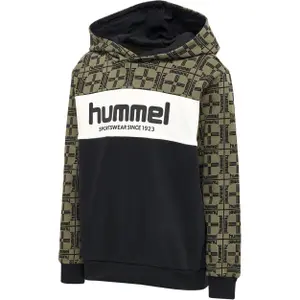 Sudadera con capucha infantil Hummel Colden image-0