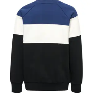 Sweatshirt child Hummel Claes image-1