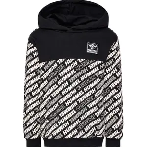 Sudadera con capucha infantil Hummel Cameron image-0